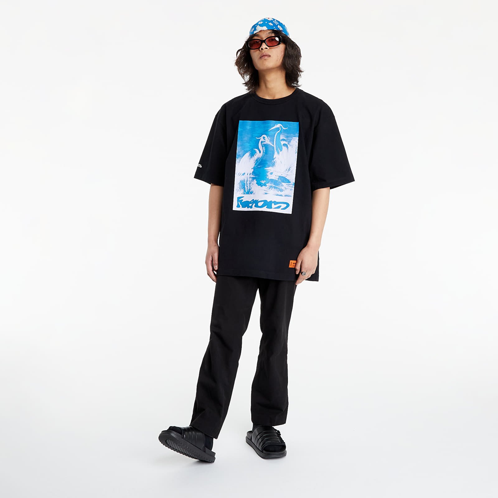 485908.jpg