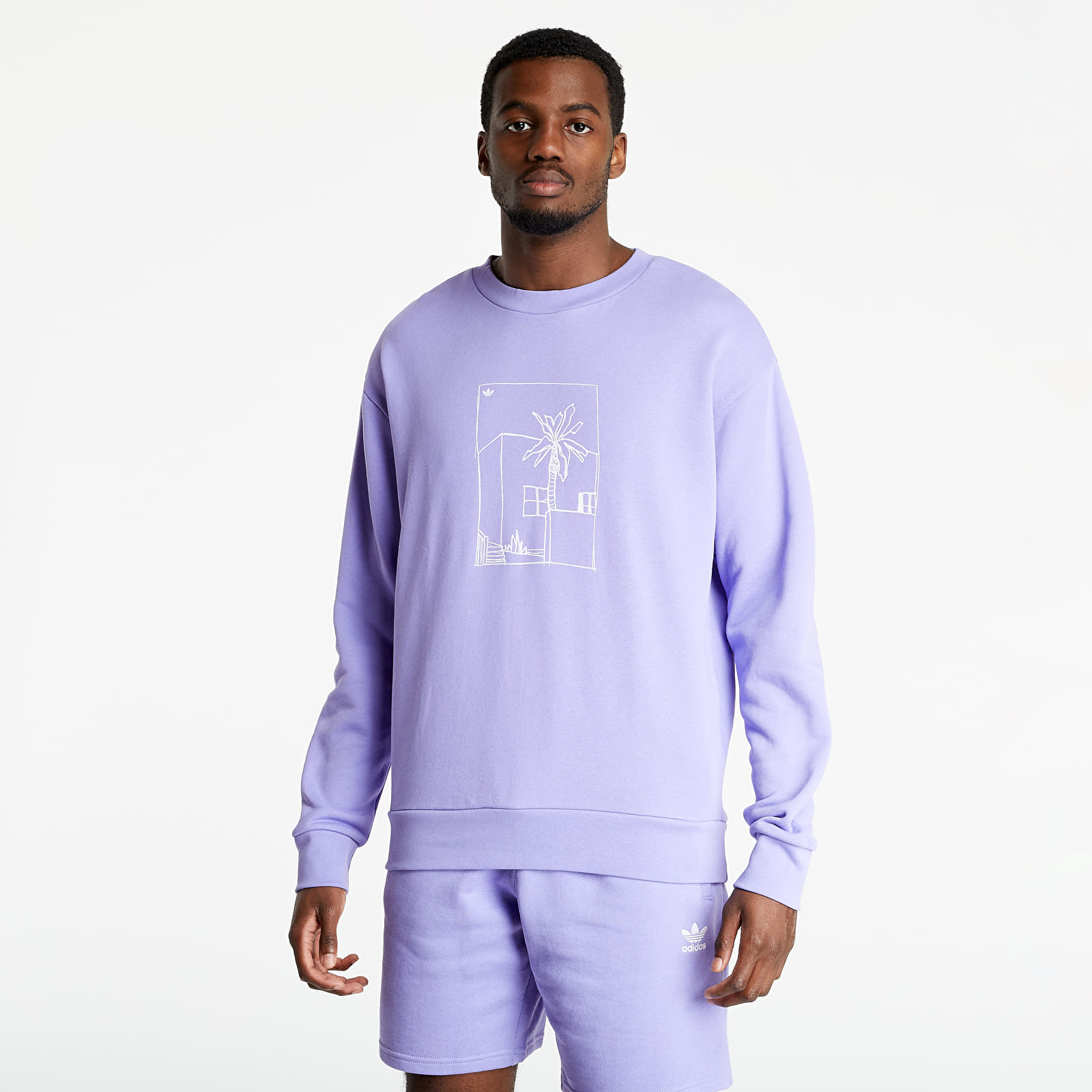 Hoodies and sweatshirts adidas Graphic Crewneck Light Purple