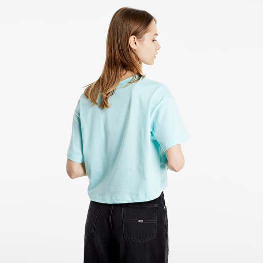 Champion logo hotsell sleeve crop hoodie