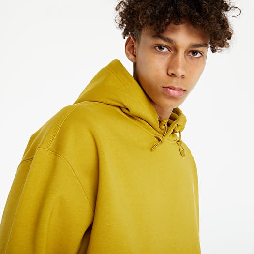 Hoodies and sweatshirts Nike ACG Pullover Fleece Hoodie Peat Moss