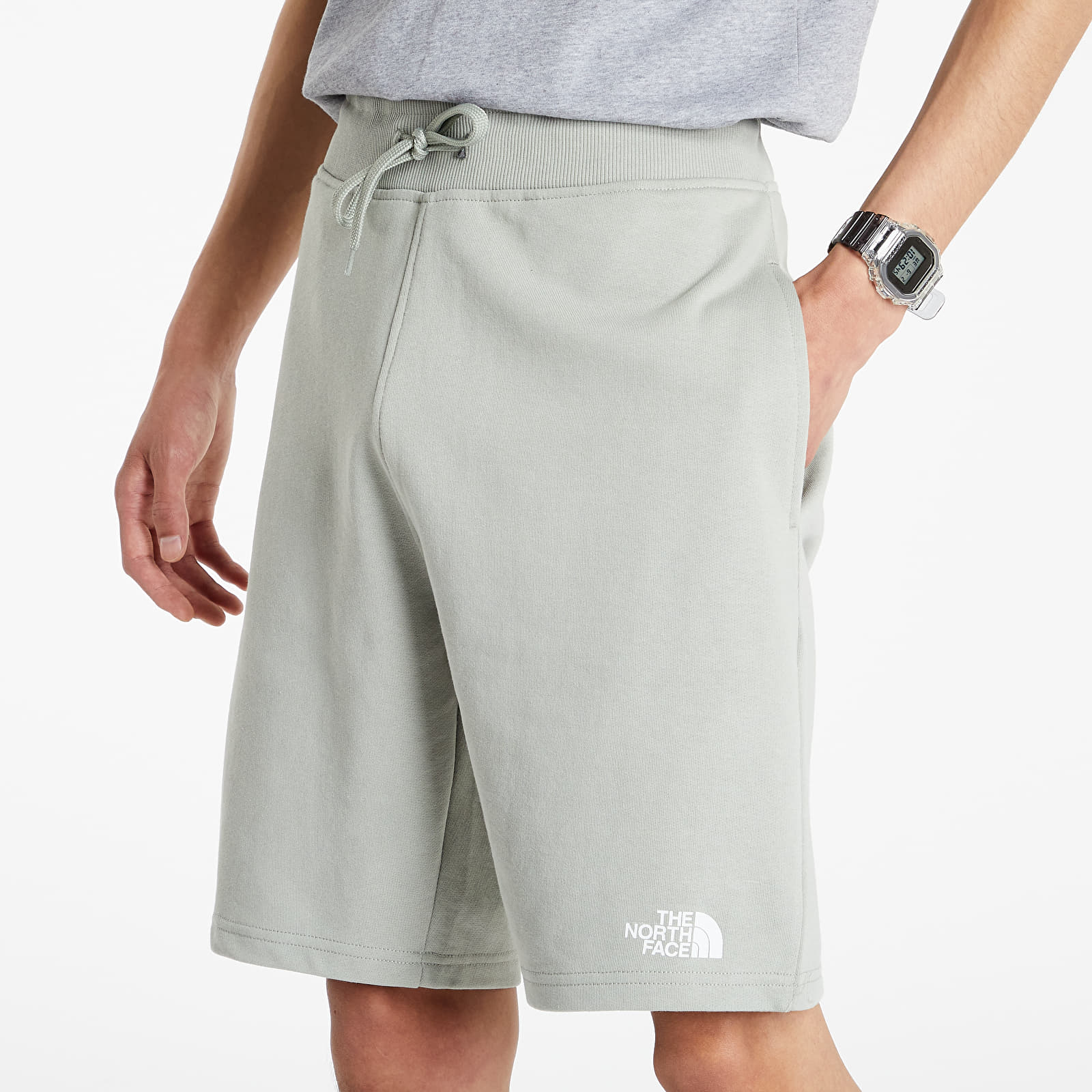 Shorts The North Face Standard Shorts Light Wrought Iron