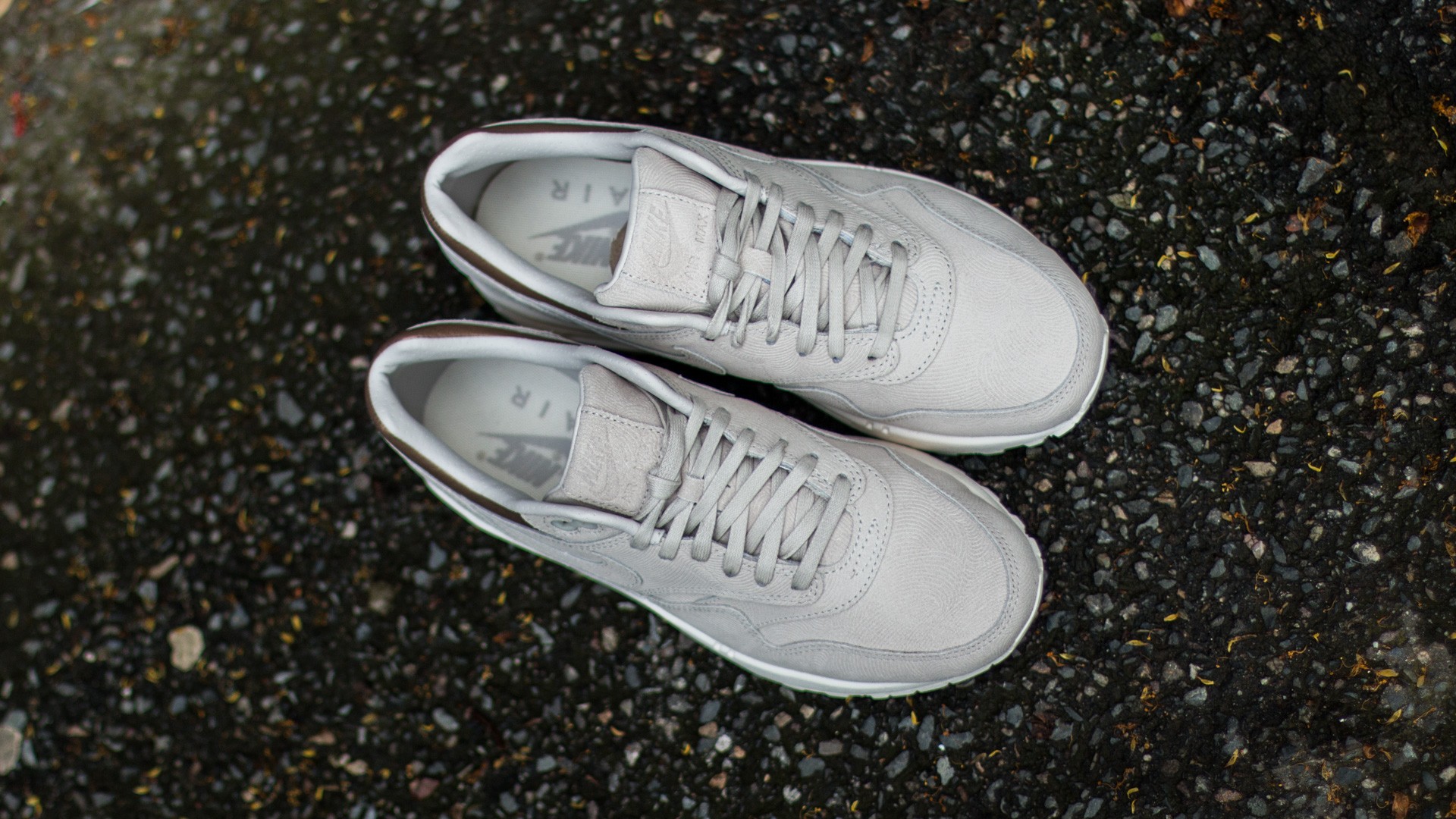 Women s shoes Nike Wmns Air Max 1 Premium Gamma Grey Gamma Grey