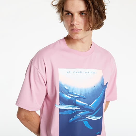 T shirts Nike NRG ACG SS Tee Wyland Elemental Pink Footshop