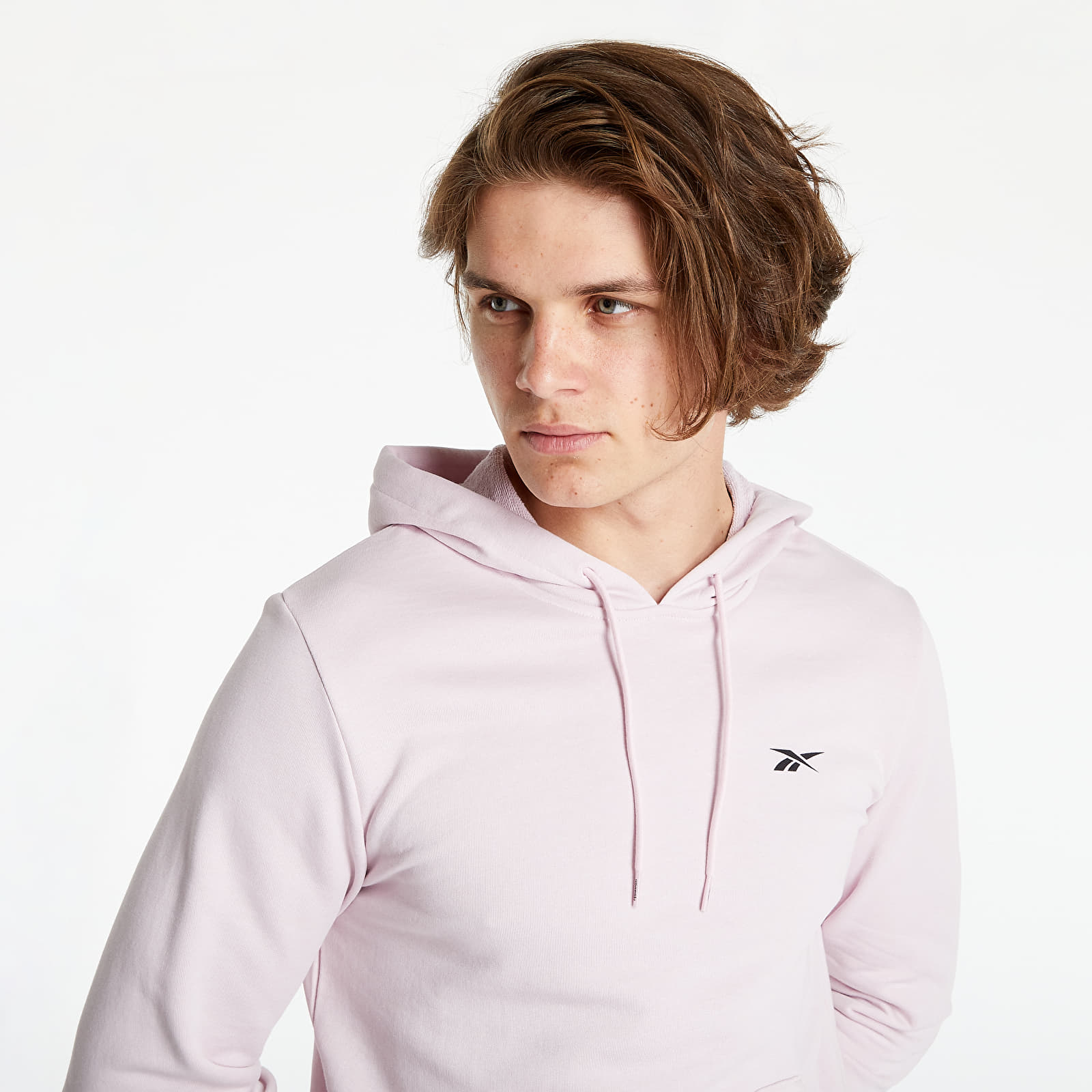 Hoodies and sweatshirts Reebok TS Pride Ft Gr Sweatshirt Frober