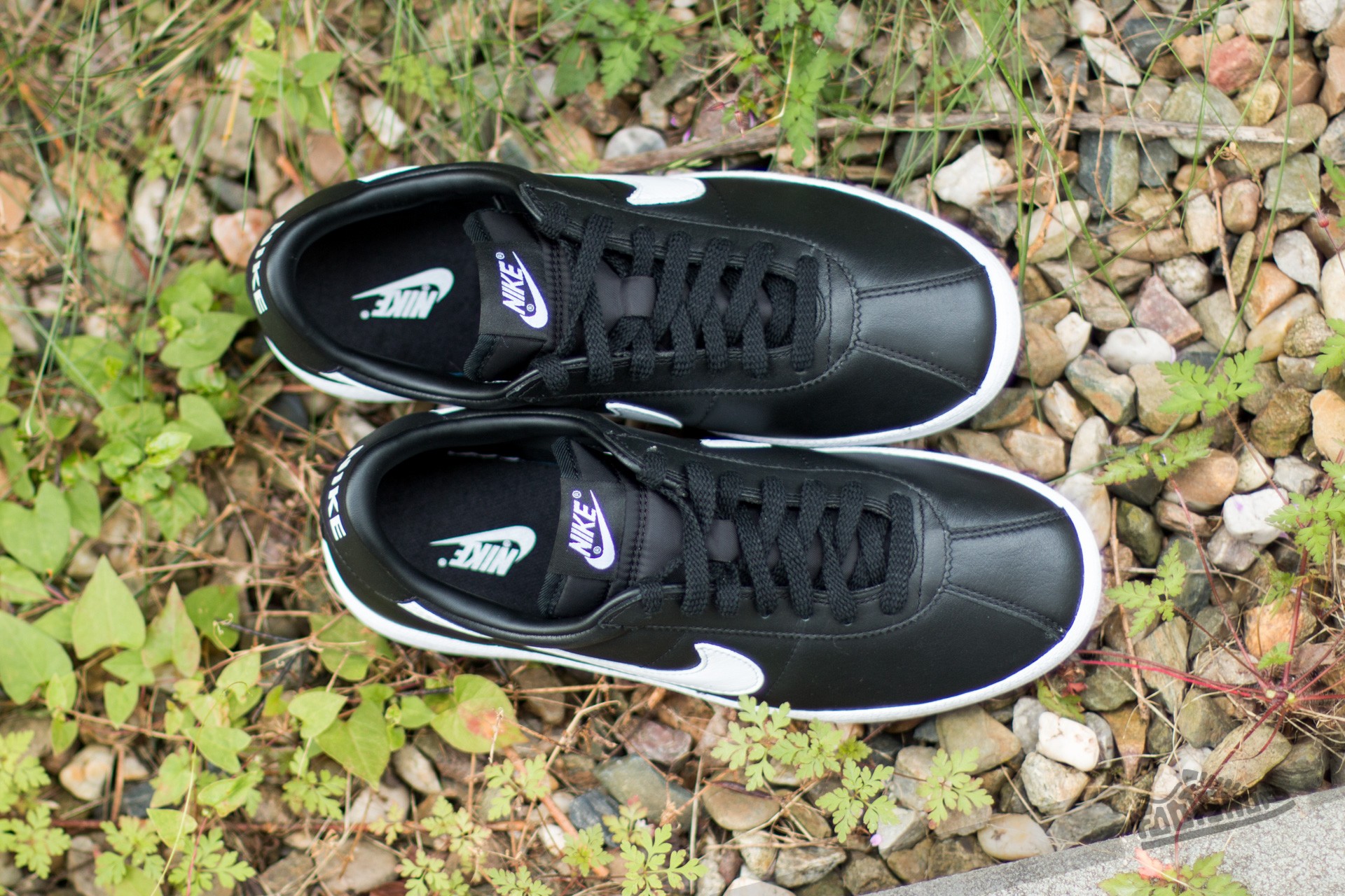 Men's shoes Nike Bruin QS Black/ White-Black