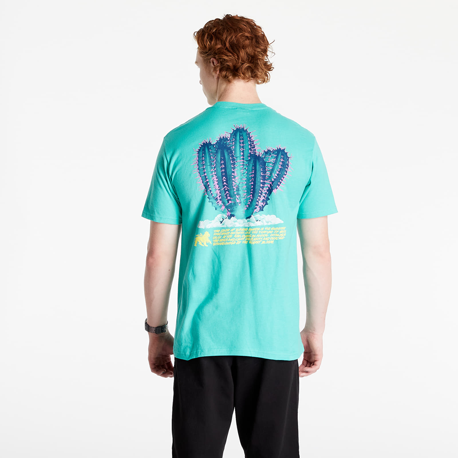 stussy desert bloom tee