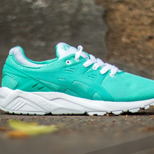 Asics Gel Kayano Trainer Evo