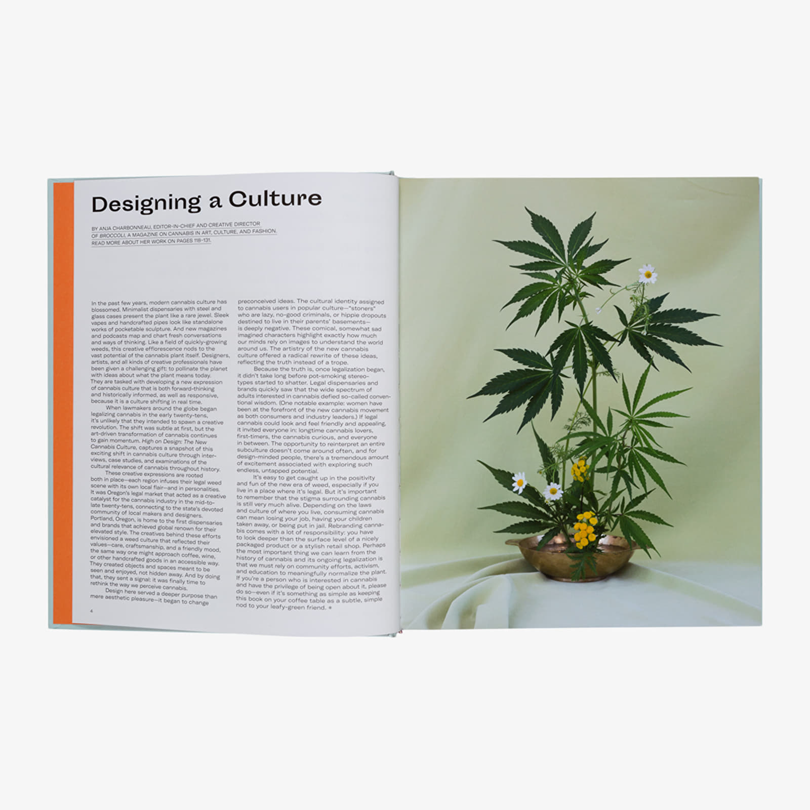 Books and magazines Gestalten The New Canabis Culture: High On Design