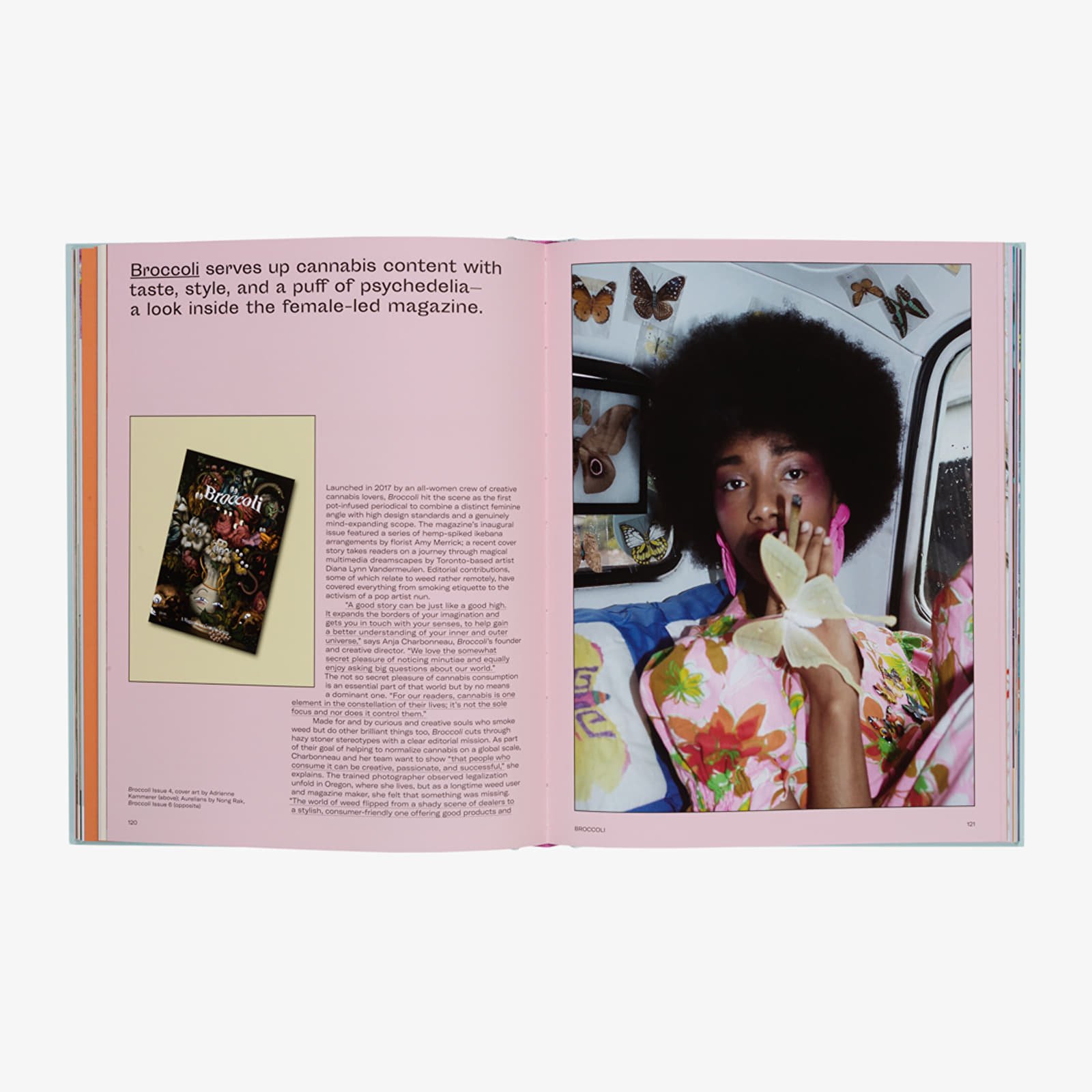 Books and magazines Gestalten The New Canabis Culture: High On Design