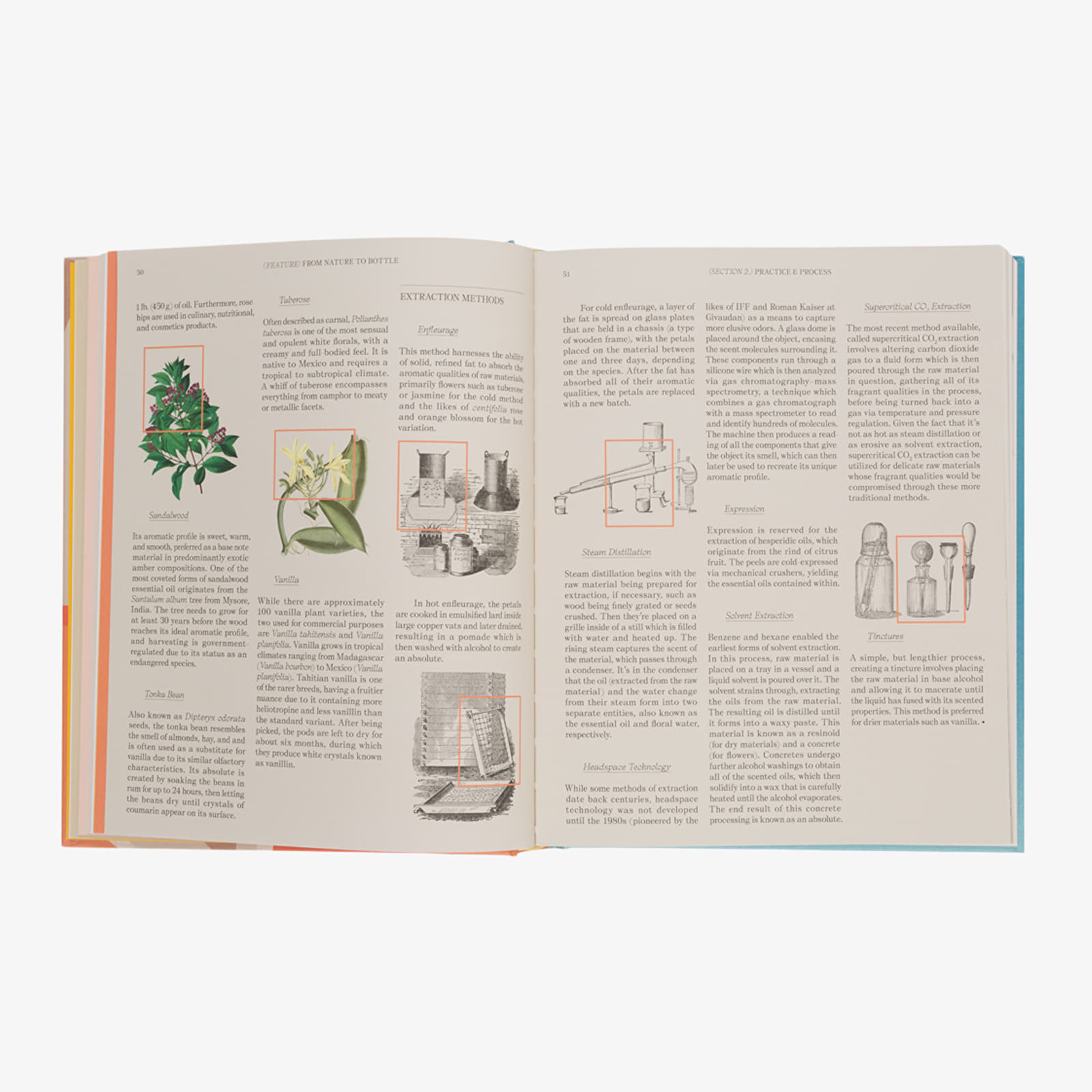 Other accessories Gestalten The Essence: Descovering The World Of Scent, Perfume & Fragrance