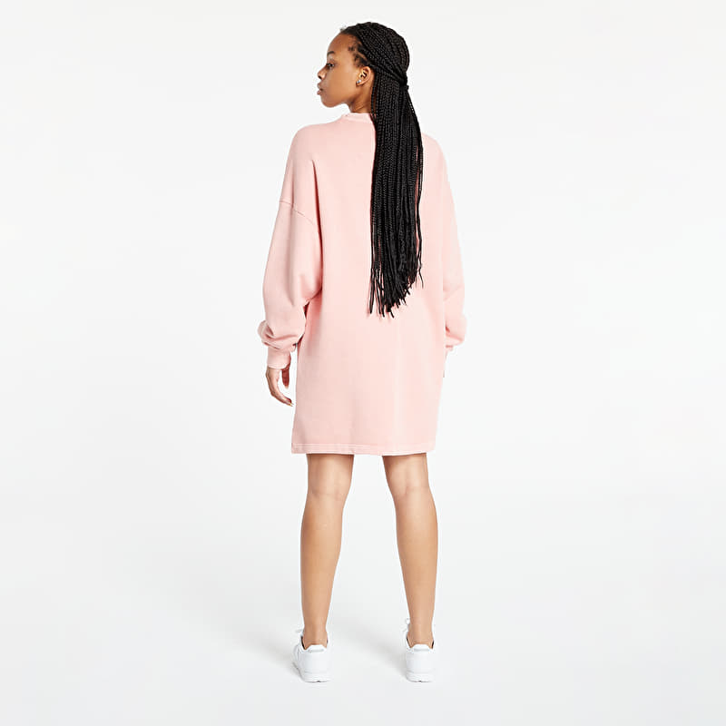 Hoodies and sweatshirts Reebok Classics Rbk Nd Crewneck Dress Frober (GR0399)