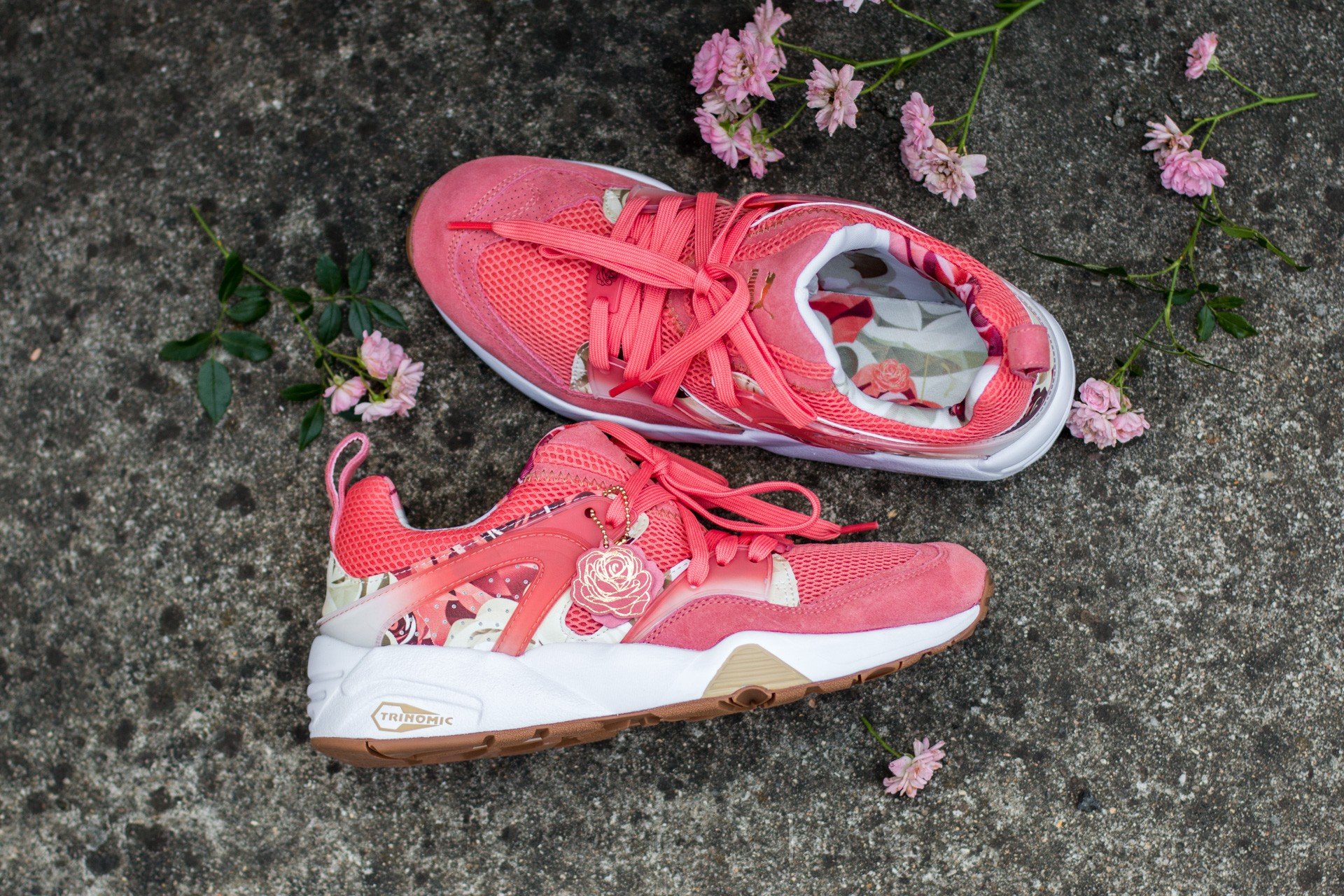 Puma careaux bog 2025