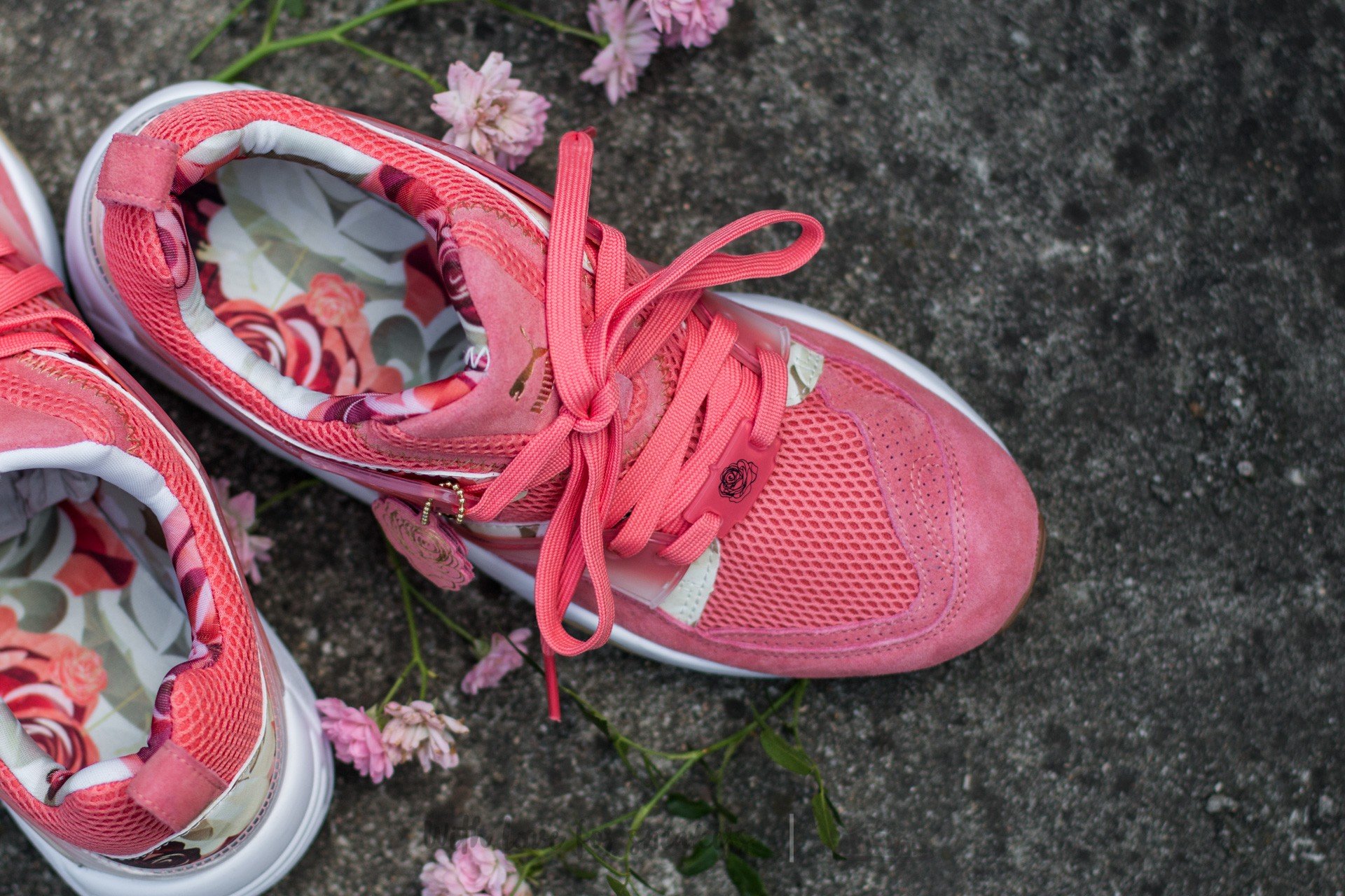 Puma careaux deals bog