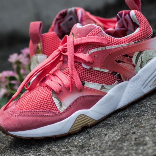 Puma Bog X Careaux X Graphic