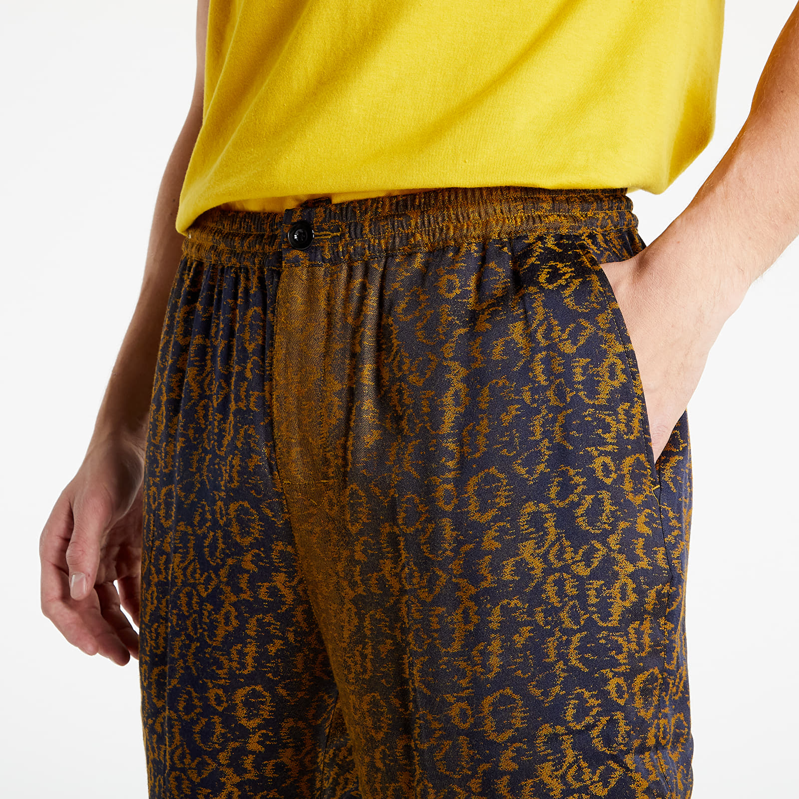 Pants and jeans Stüssy Leopard Jacquard Bryan Pant Leopard | Footshop