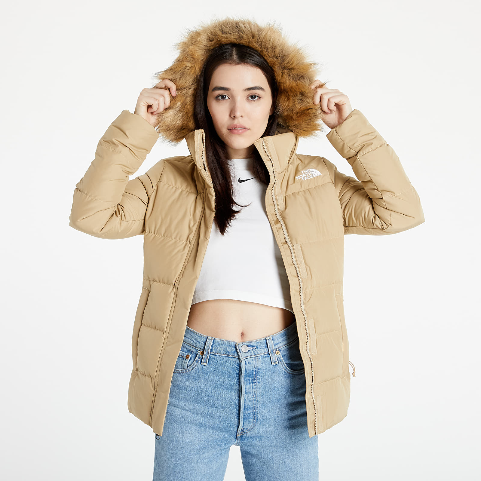 Chaquetas The North Face Gotham Jacket Hawthorne Khaki