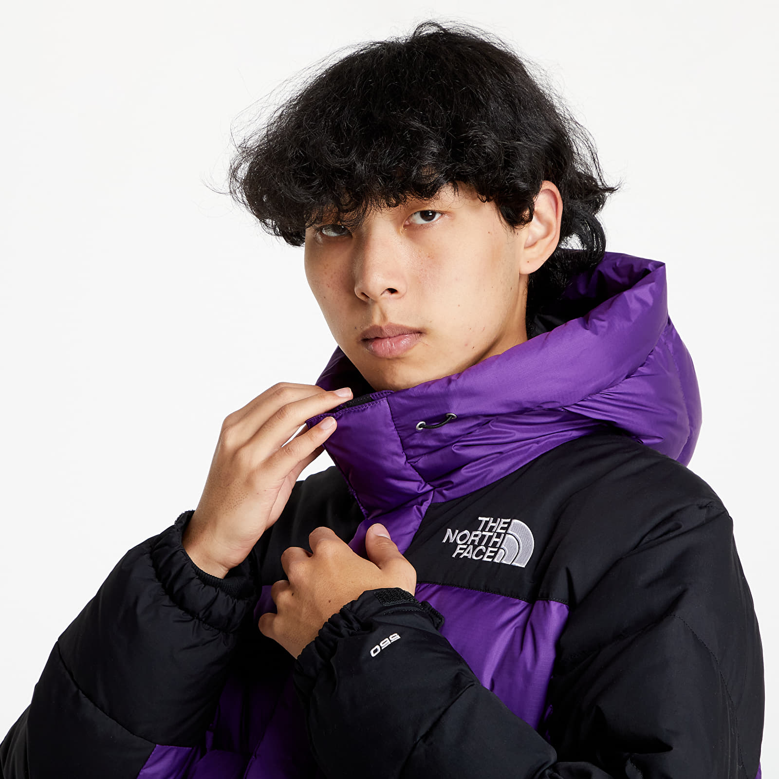 North face mens purple jacket 2025