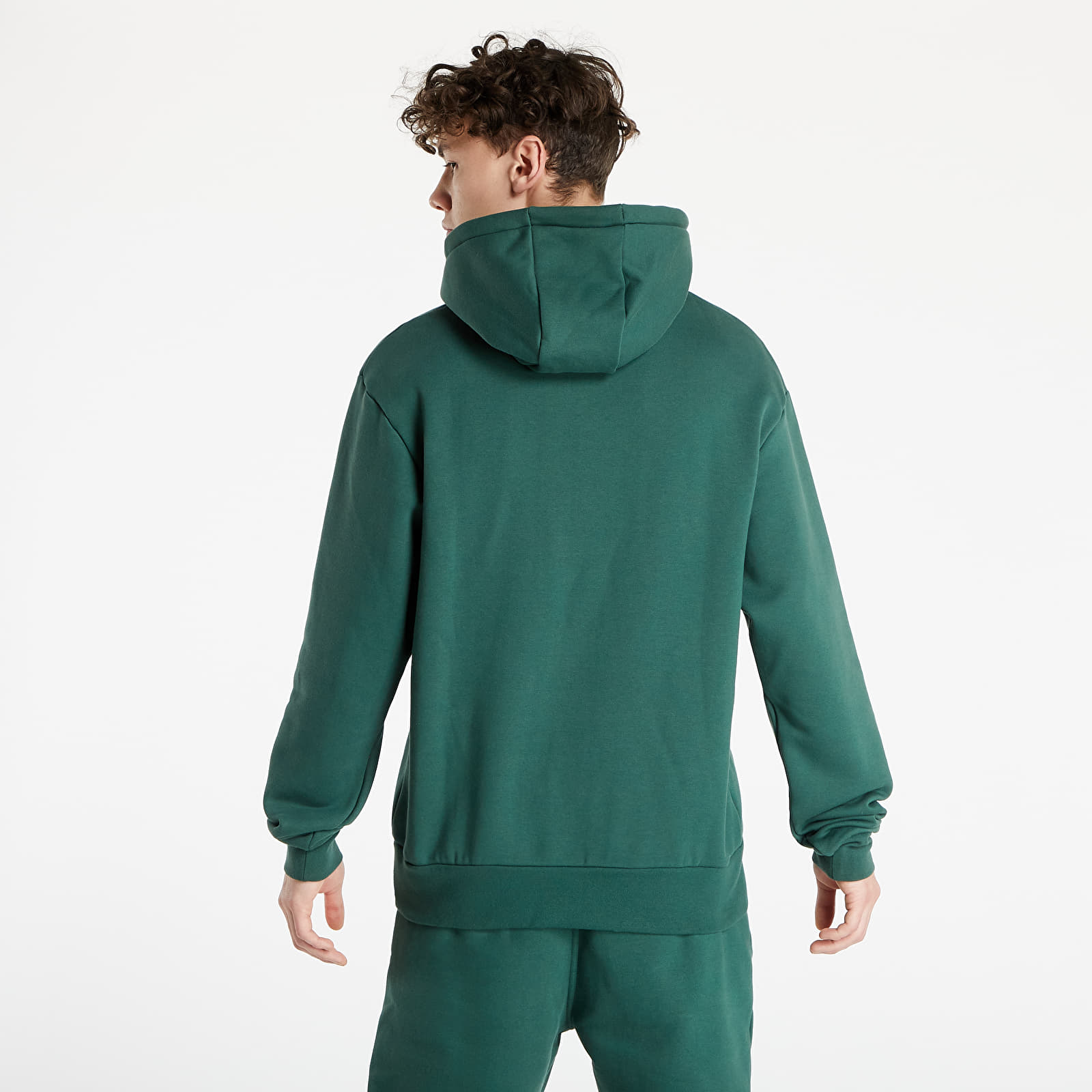 Felpe e maglioni Jordan Paris Saint-Germain Statement Fleece Hoodie Noble Green