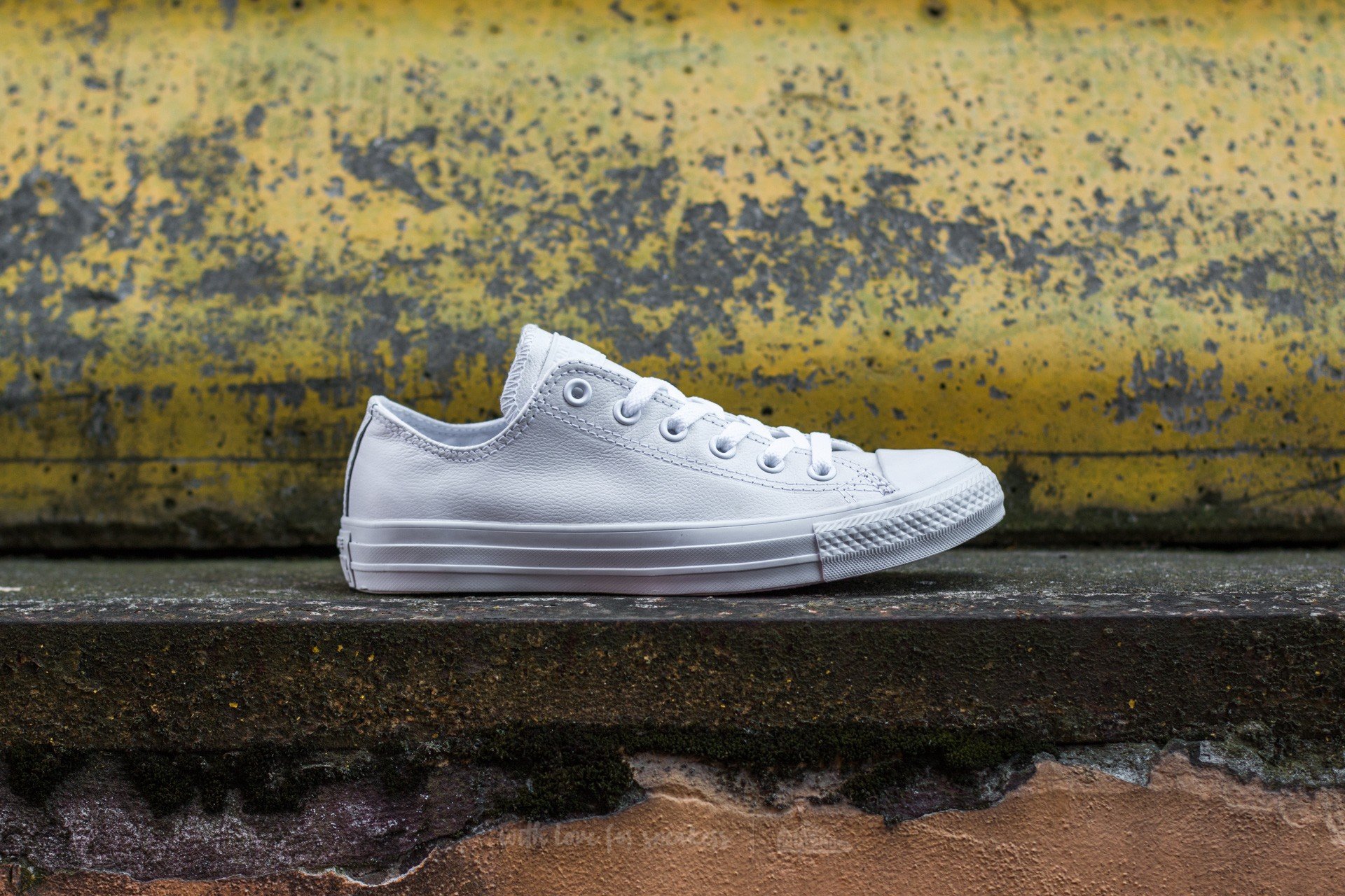 Converse ct ox 136823c white shop