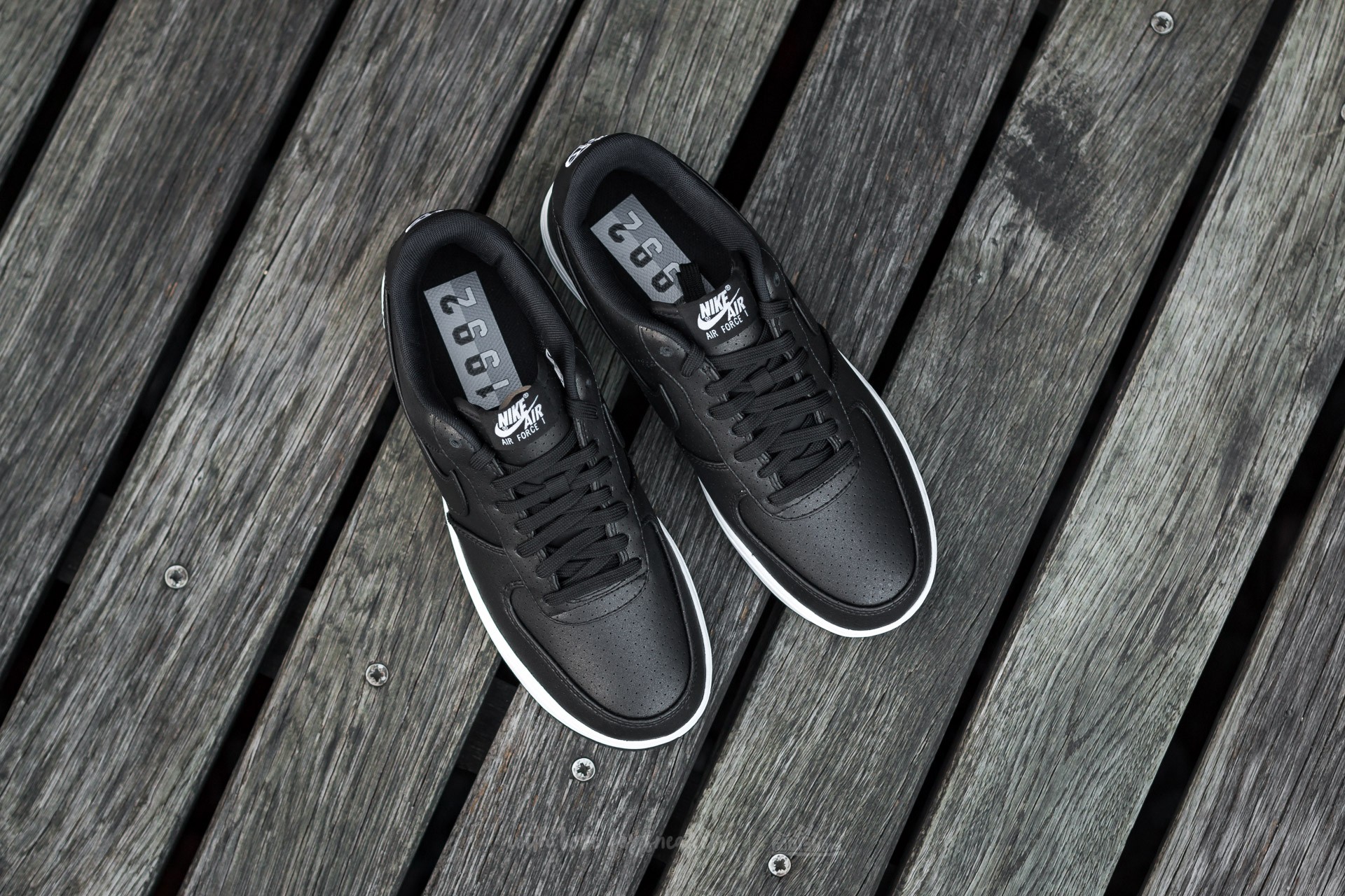 Black lv8 online