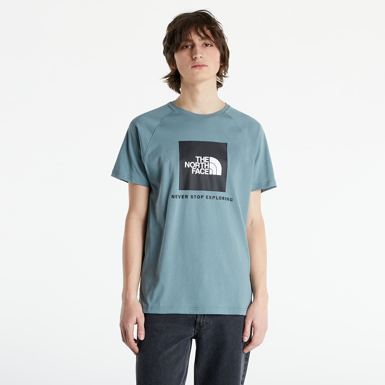 T-shirts The North Face M S/S Raglan Redbox Tee Goblin Blue