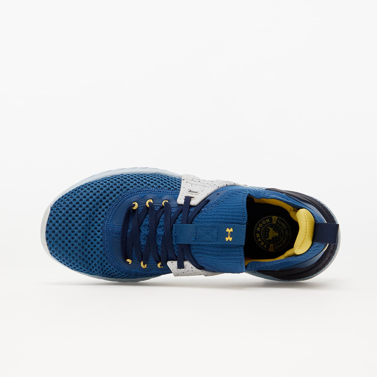 Men's shoes Under Armour Project Rock 4 Blue