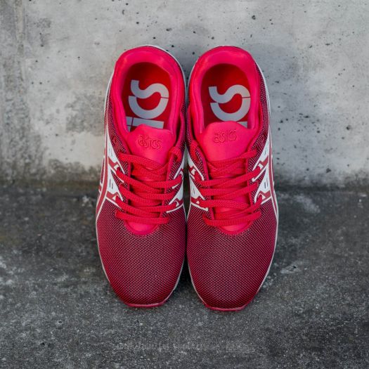 Asics Gel Kayano Trainer Evo