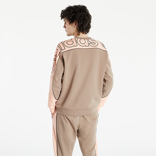 Hoodies and sweatshirts adidas R.Y.V. Graphic Crew Chalky Brown Footshop