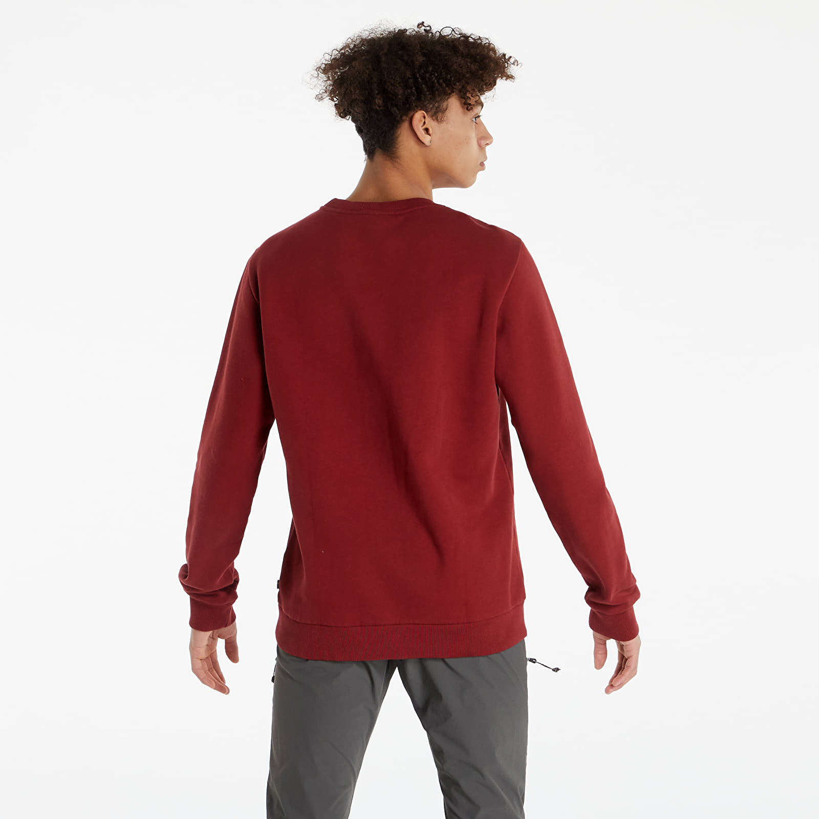 Hoodies and sweatshirts  Fjällräven Fjällräven Logo Sweater Red Oak