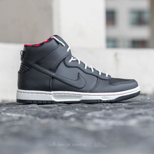 Nike Dunk Ultra