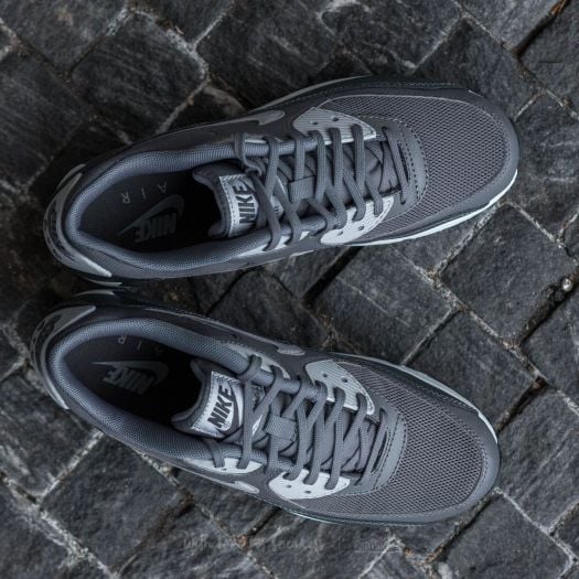 Nike Wmns Air Max 90 Essential