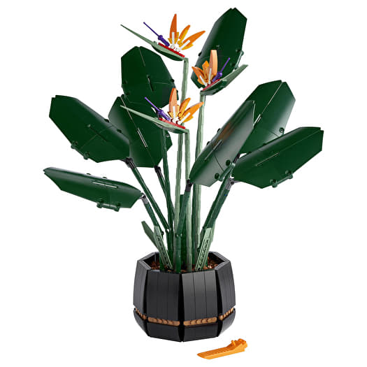 LEGO®️ ICONS 10289 Bird of Paradise | Footshop