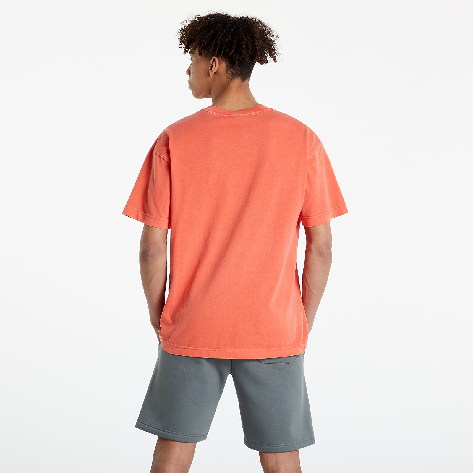T-shirts Carhartt WIP S/S Nelson T-Shirt Elba 