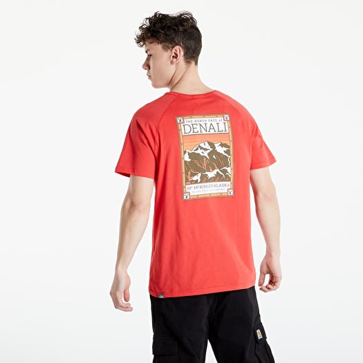 The north face denali t shirt shop