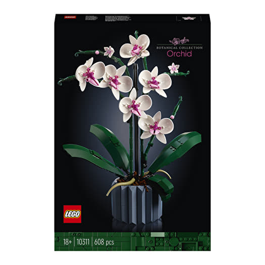 カコ Buchet de flori de camp LEGO 10313 | BrickDepot