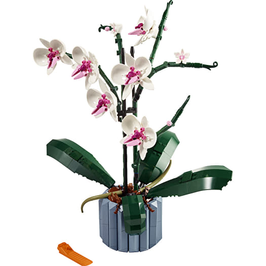 LEGO®️ ICONS 10311 Orchid | Footshop