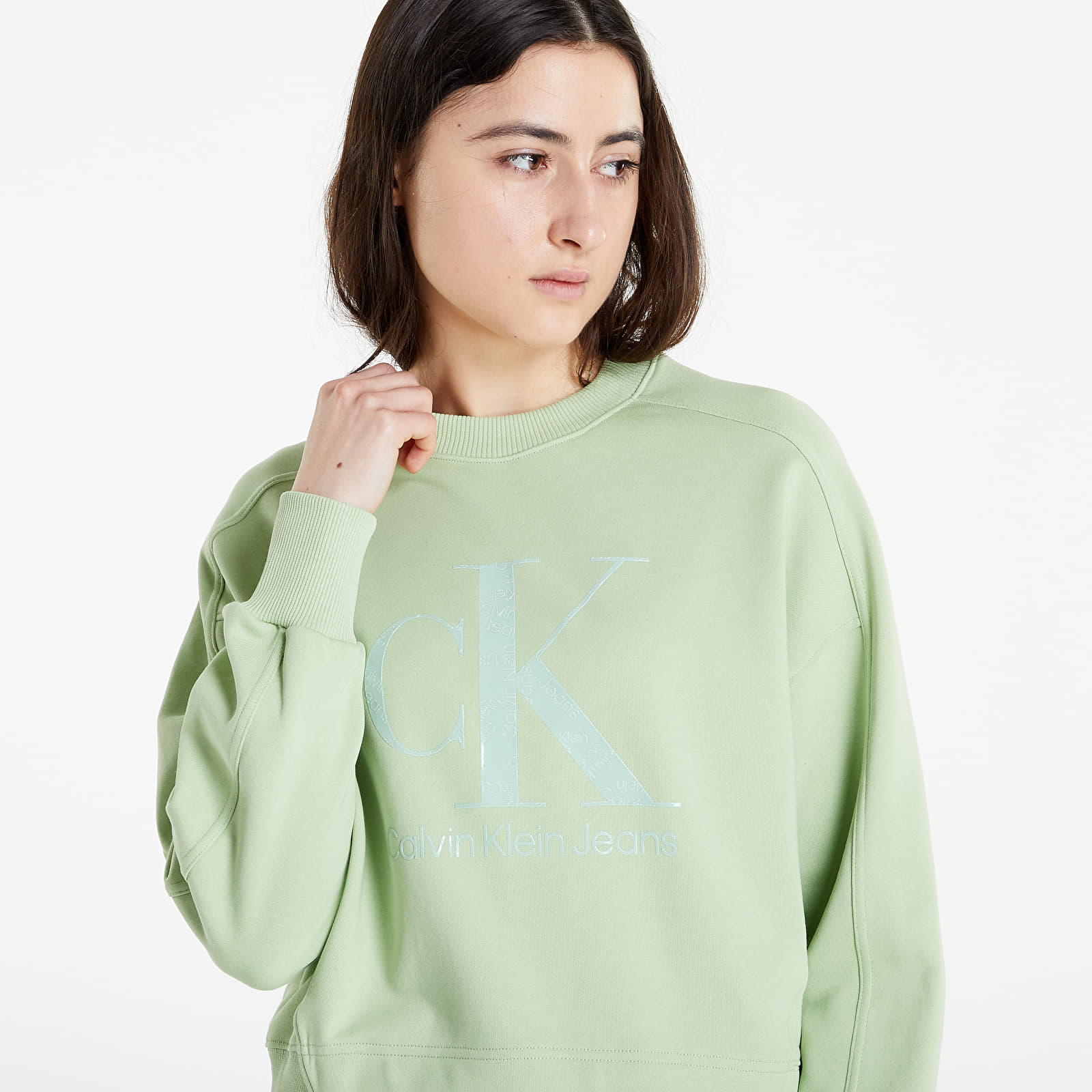 Hoodies and sweatshirts Calvin Klein Jeans Gel Monogram Crewneck Jaded Green