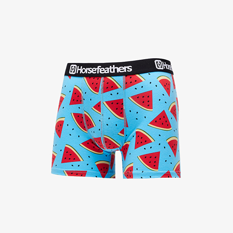 Caleçons Horsefeathers Sidney Boxer Shorts Melon