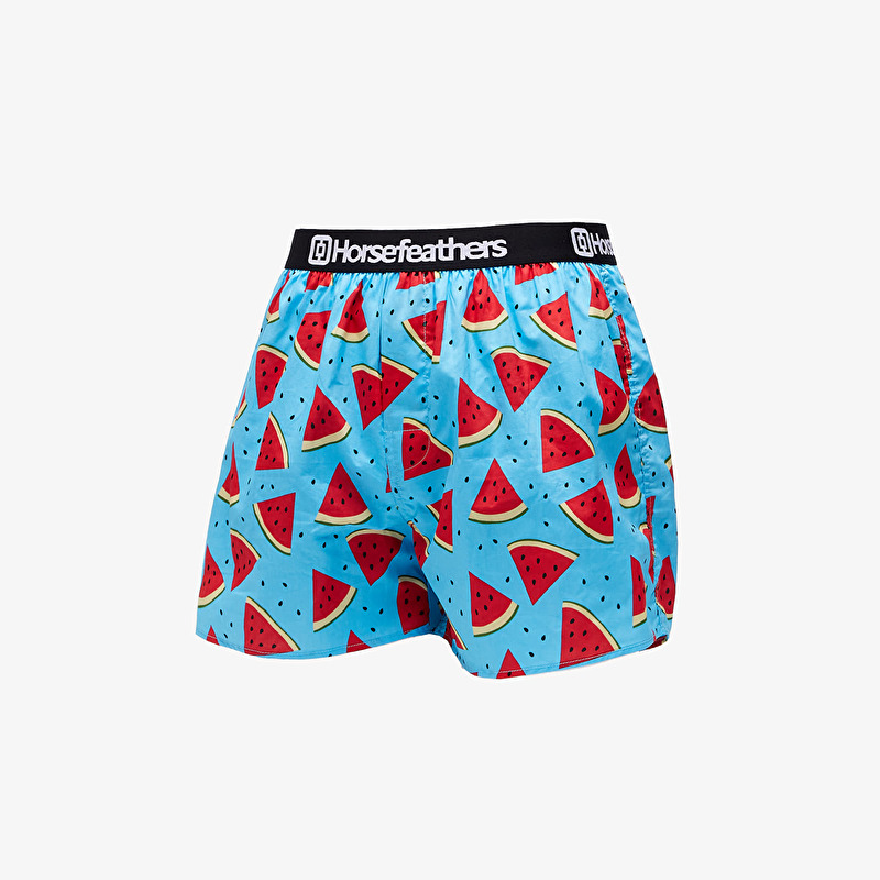 Boxershorts Horsefeathers Frazier Boxer Shorts Melon