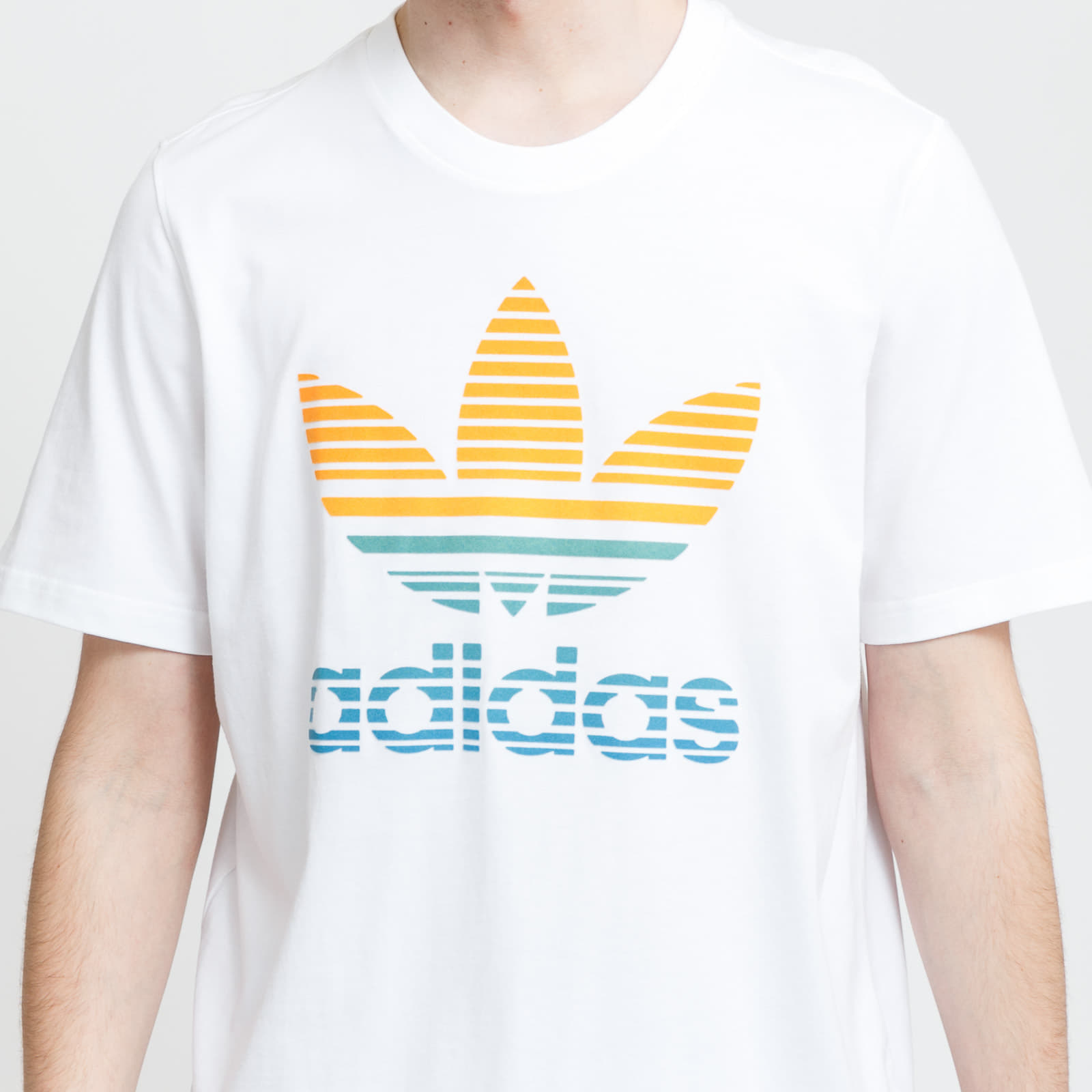 Adidas trefoil rainbow best sale