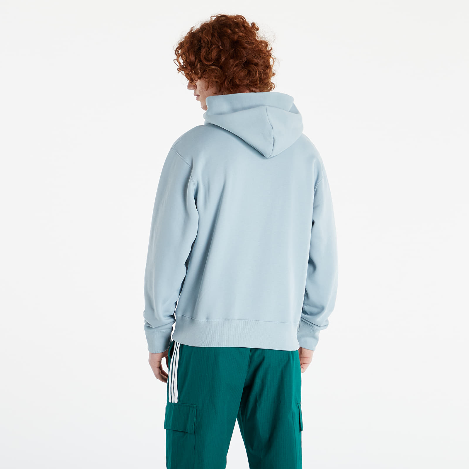 Hoodies and sweatshirts adidas Originals Adicolor Trefoil Hoodie