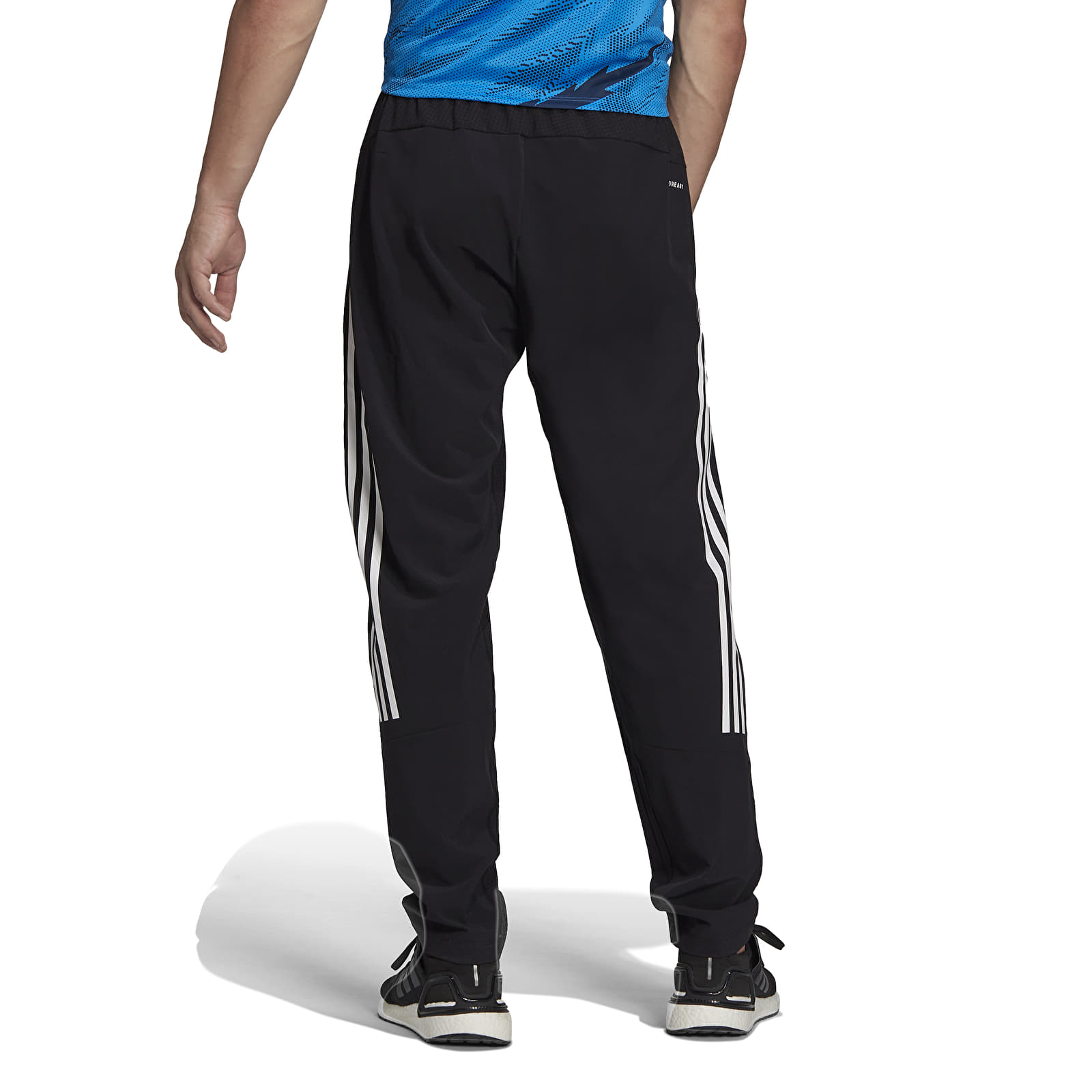 Hlače adidas Originals Train Icons Training Pants Black