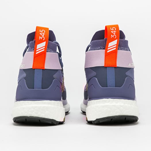 Women's shoes adidas Performance Terrex Free Hiker GTX W Orbit