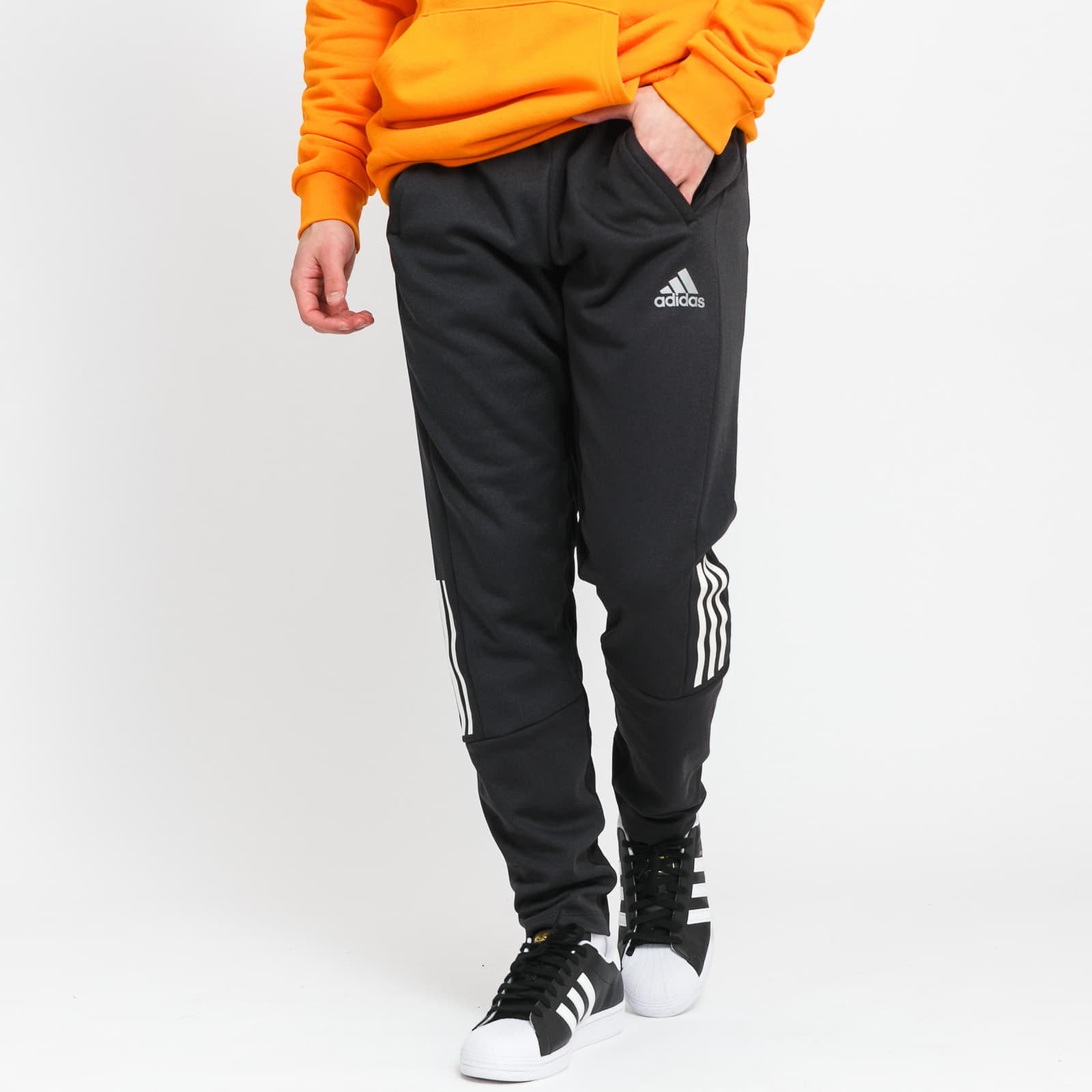 Pants and jeans adidas Performance TP Pant Black