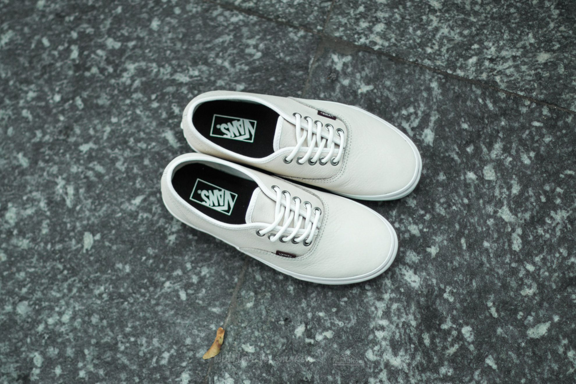 Men's shoes Vans Authentic Leather Blanc De Blanc/ Potting Soil