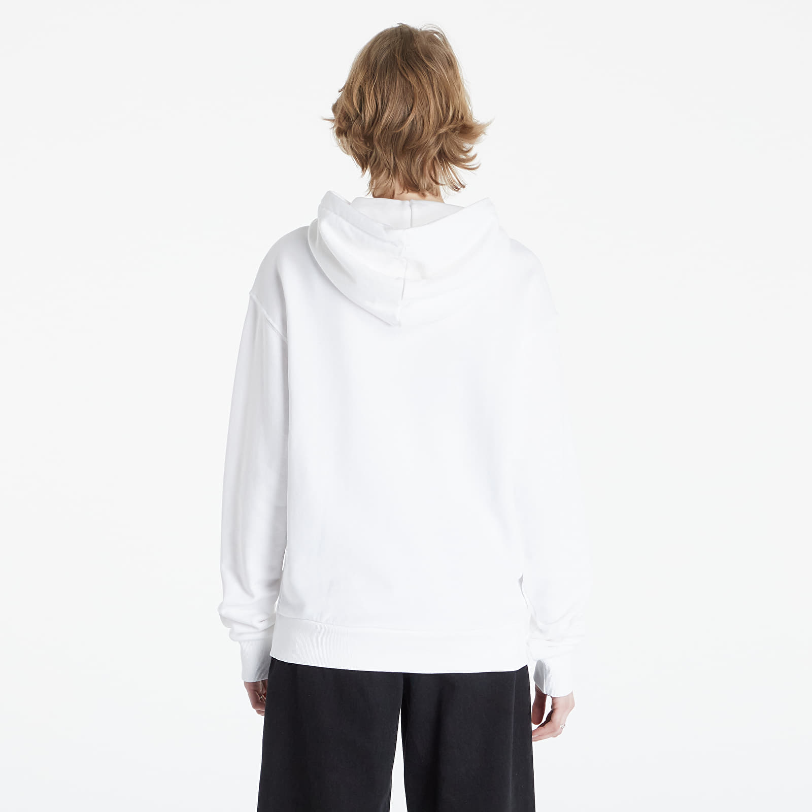 Hoodies and sweatshirts Reebok Identity Logo French Terry Hoodie