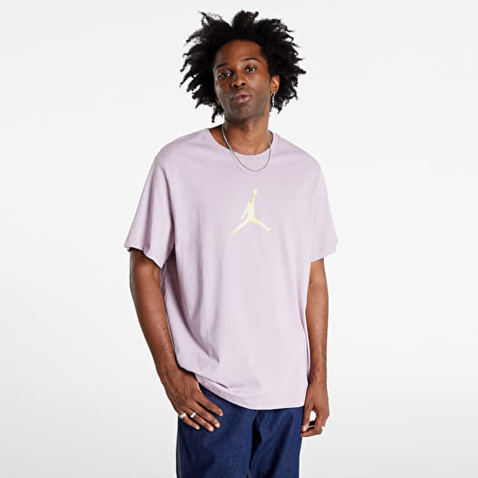 T shirts Jordan Sprt Dna 23 SS Crew Plum Fog Footshop