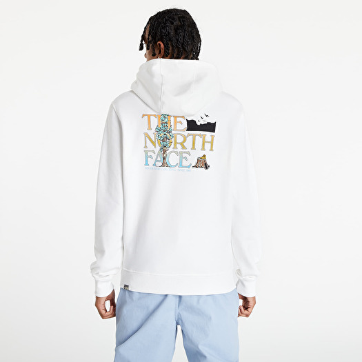 Hoodies and sweatshirts The North Face M Seasonal Graphic Hoodie