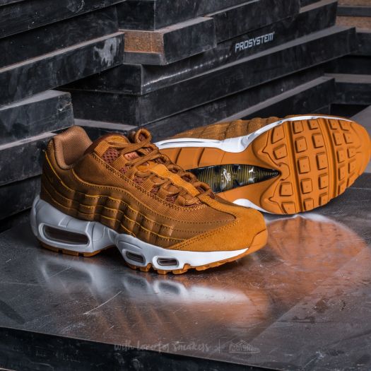 Air max hotsell 95 desert