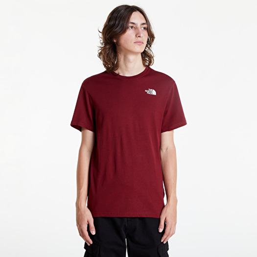 The north face celebration tee online